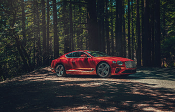 2020 Bentley Continental GT V8 , bentley-continental-gt, bentley, 2020-cars, cars HD wallpaper