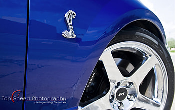 Blue 2003 Ford Mustang SVT Cobra, blue, ford, 2003, svt, cobra, mustang HD wallpaper