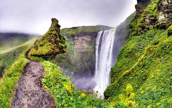 Nature, Waterfall, Path, Moss, Trail HD wallpaper