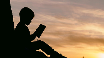 Childhood dreams, Silhouetted reading, Sunset escapades, Fish-shaped stories HD wallpaper
