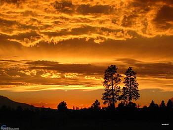the morning, clouds, fields, morning, sunrise HD wallpaper