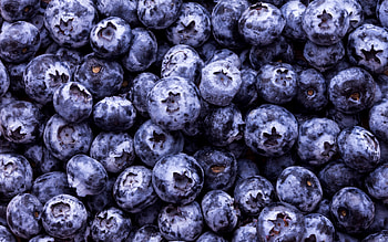 High-quality blueberry background, Textured berries, Vivid colors, Food-themed HD wallpaper