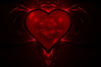 Encased love, hearts, love HD wallpaper