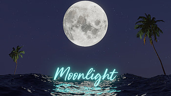 Moonlight, typography, moon, artist, artwork, digital-art, artstation HD wallpaper