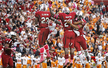 South Carolina Gamecocks, College football , Team , Sports HD wallpaper