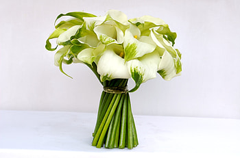 Bouquet, white, gentle, graphy, elegantly, beautiful, calla, nice, flower, cool, flowers, , harmony HD wallpaper