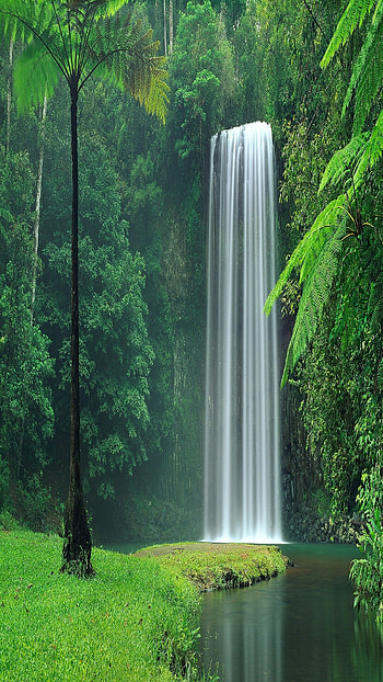 Waterfall, Calming cascade HD phone wallpaper