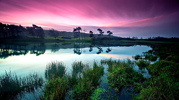 Stunning Nature Backgrounds HD wallpaper