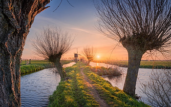 Landscape in Netherlands, windmill, path, canals, sunbeams, trees, Netherlands HD wallpaper
