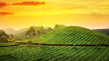 Beautiful farm , que countryside HD wallpaper