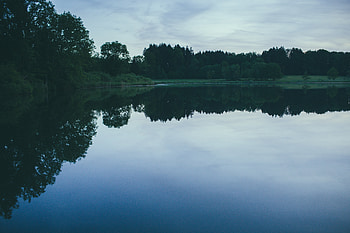 Nature, Rivers, Trees, Evening HD wallpaper