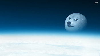doge - Doge () (100012) HD wallpaper