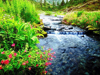 Beautiful Waterfalls, landscape, waterfalls, flowers, water, rocks, mountain HD wallpaper