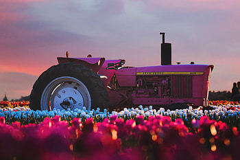 John Deere Tractor In Flower Farm , tractor, field, farm, john-deere, graphy, nature, sunset, landscape HD wallpaper