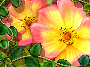 Exotic flowers. jpg, pink, exotic, yellow, flower HD wallpaper