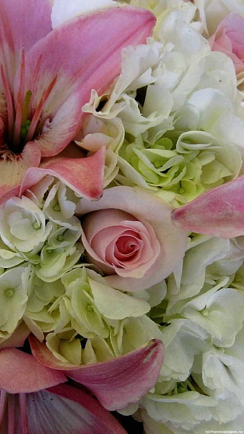 lily rose bouquet 6 - 6 Plus backgrounds HD phone wallpaper