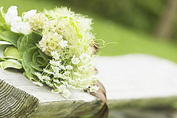 Green bouquet, colorful, bouquet, buds, soft, beautiful, nice, delicate, blossoms, green, bud, nature, flowers, blooms, pretty flowers, lovely HD wallpaper