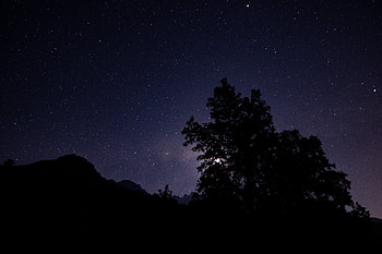 Trees, Night, Dark, Silhouette, Starry Sky HD wallpaper
