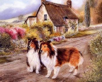 Collie Dogs, love four seasons, animals, dogs, draw and paint, cute, paintings, lovely HD wallpaper