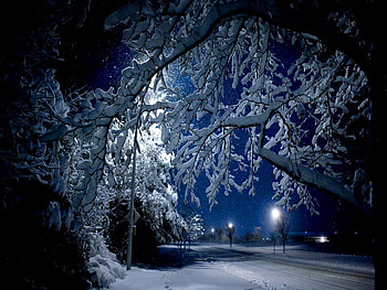 Winter evening, winter, night, branch, moon, bright, snow, evening HD wallpaper