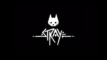 Monochrome, Stray (Game) HD wallpaper