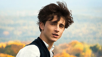Little Women, Timothee Chalamet HD wallpaper