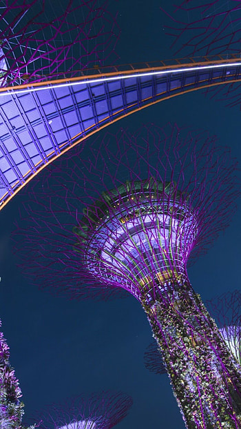 Singapore Travels, , background, Digital HD phone wallpaper