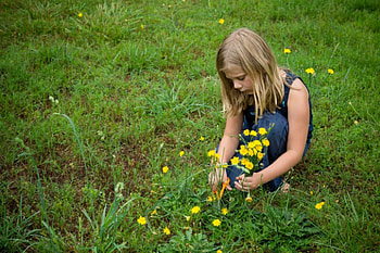 little girl, childhood, blonde, fair, nice, flower, adorable, bonny, sweet, Belle, white, girl, grass, Standing, comely, sightly, pretty, green, face, nature, lovely, pure, child, graphy, cute, baby, set, Nexus, beauty, kid, Fields, beautiful, people, little, pink, dainty HD wallpaper