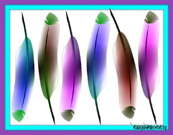 THE FEATHERS, ART, PRETTY, FEATHERS, ABSTRACT HD wallpaper