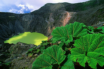 Green, graphy, mark vincent muller, nature, mountains HD wallpaper