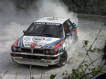 Spoutané koně, elegance, power, rally HD wallpaper