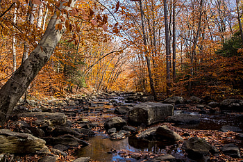 Nature, Rivers, Stones, Autumn, Creek, Brook HD wallpaper