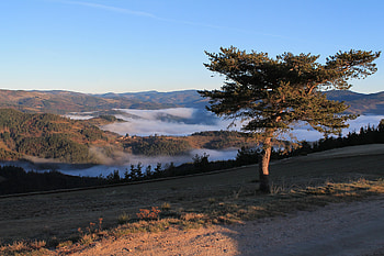 Nature, Trees, Mountains, Fog, Hills HD wallpaper