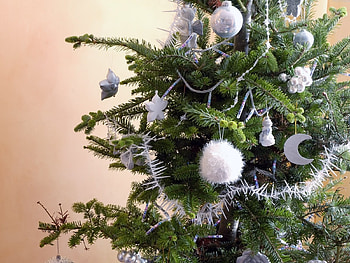 Holidays, Trees, New Year, Fir-Trees HD wallpaper