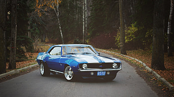 Chevrolet, Cars, Side View, Camaro HD wallpaper