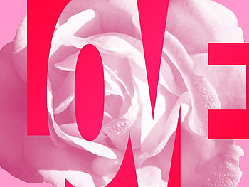 Love, loveangels, loves, pink, loveheart, romance HD wallpaper