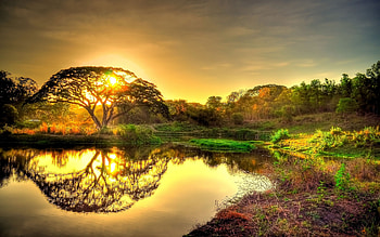 Sunset, golden, graphy, glow, beauty, reflection, perfection, nature, mesmerizing, stunning HD wallpaper
