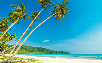 Palm Beach, Beach, Mountains, Trees, Sky HD wallpaper