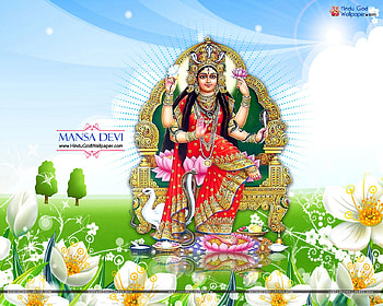 Maa Mansa Devi, Vaishno Devi HD wallpaper