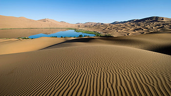Oasis, Gobi Desert HD wallpaper