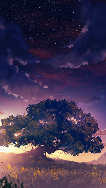 Genshin Impact () Mobile, Genshin Impact HD phone wallpaper