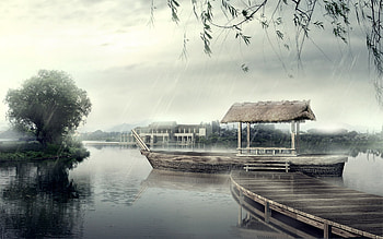 Japan Rain Fall, nature, japan, rain HD wallpaper