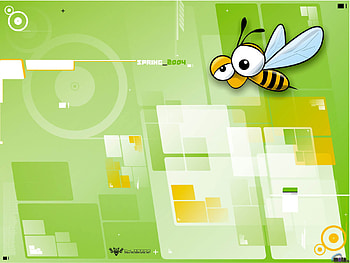 Funny, Insects, Bees HD wallpaper