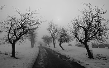 Winter Solstice HD wallpaper