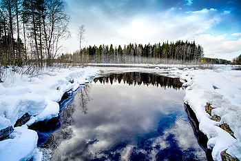 Winter, Nature, Water, Rivers, Trees, Snow HD wallpaper