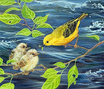 There is Food, finches, leaves, birds, young HD wallpaper