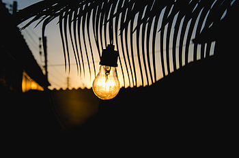 Sunset, Dark, Shine, Light, Branches, Lamp HD wallpaper