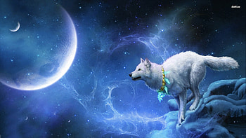 - 13825-wolf-in-space--digital-art-.jpg | Animal Jam Clans Wiki | FANDOM powered by Wikia HD wallpaper