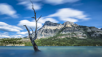 Waterton Lakes National Park, Alberta, canada, tree, mountain, landscape, clouds, sky HD wallpaper