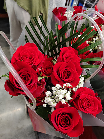 Roses, love, red, heart HD phone wallpaper